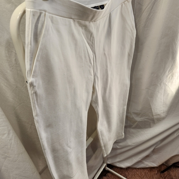 ALFRED DUNNER PANT - Picture 3 of 6